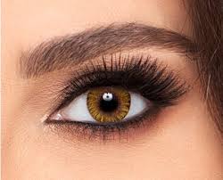 FreshLook One Day Color - Image 2